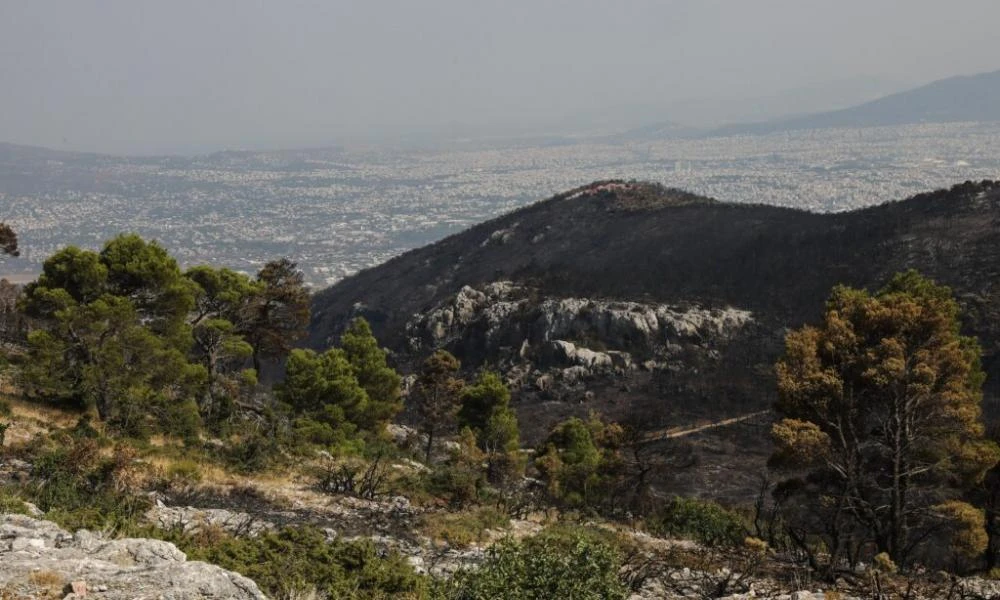 Συναγερμός στην Πάρνηθα: Εντοπίστηκαν χειροβομβίδες σε μονοπάτι